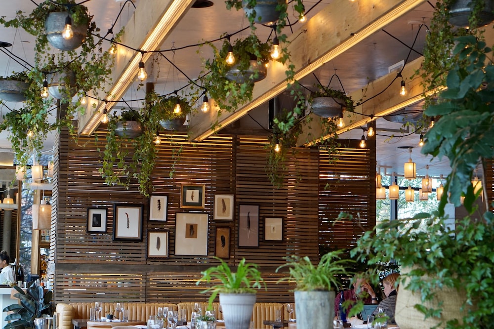 1 Hotel Brooklyn Bridge 4