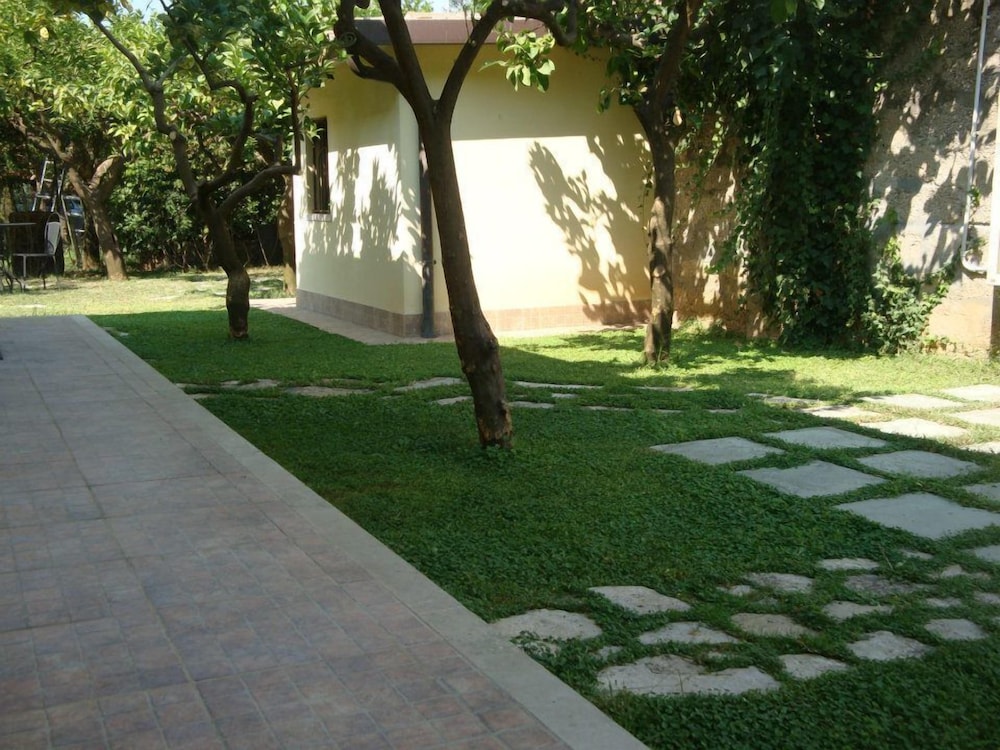 Photo 25