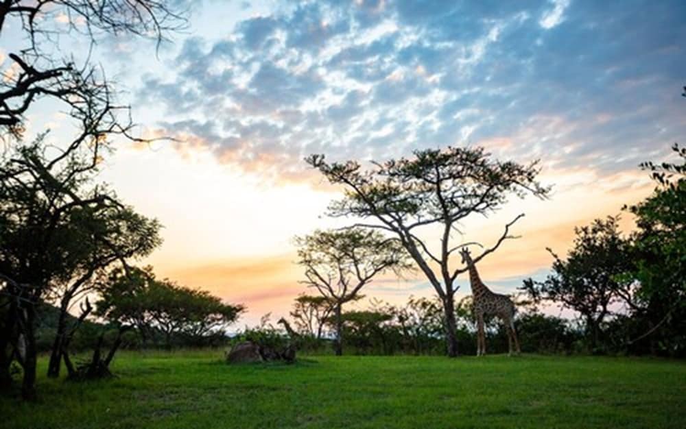 Muluwa Lodge