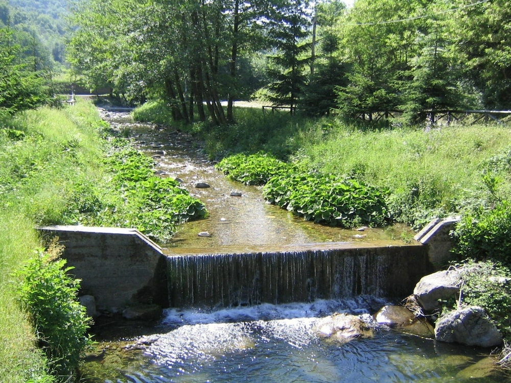 Photo 40