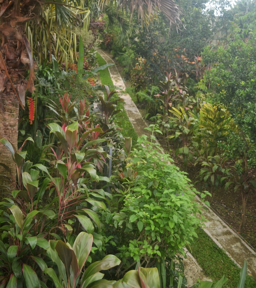 Eden Atenas
