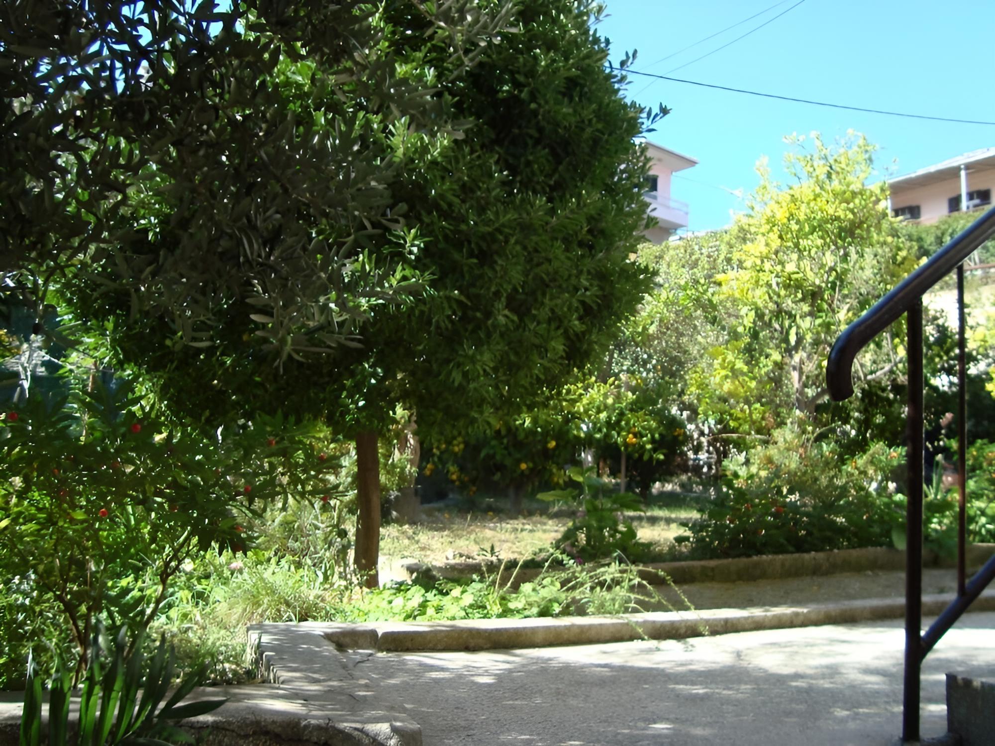 Vedrana - 150 m From Beach - A1 view 4