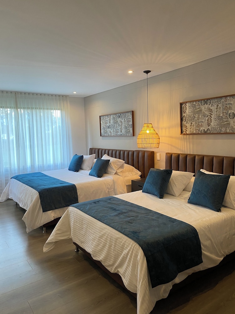 Monarch Campestre