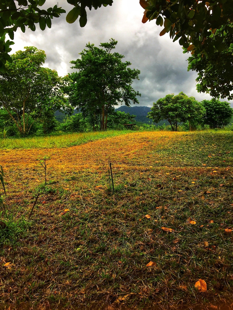Vue grand hilltop