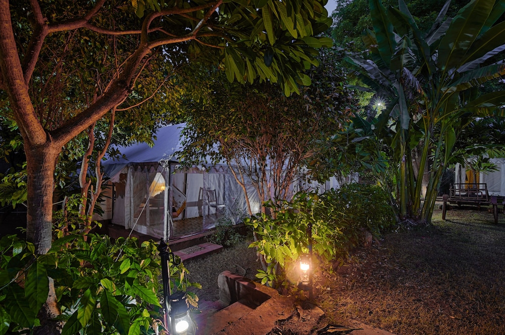 Ranthambore Tiger Resort by Park Tree view 4