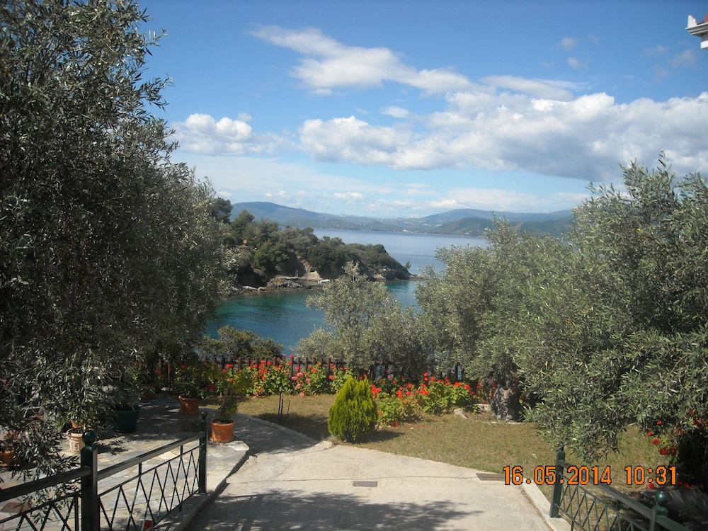 Photo 26