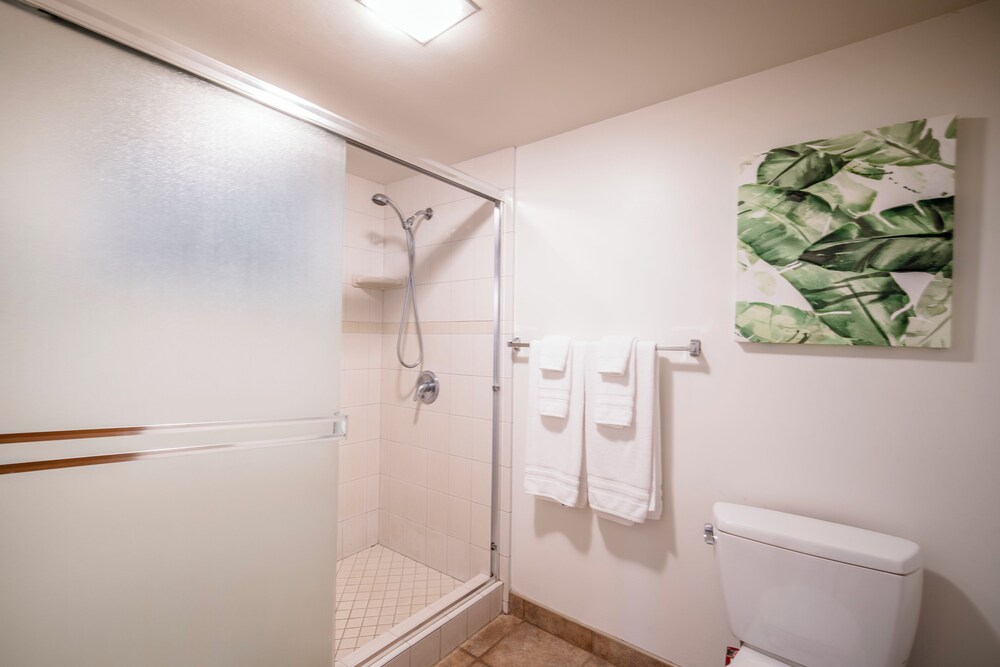 Polo Beach Club Vacation Rentals - APlus Resorts