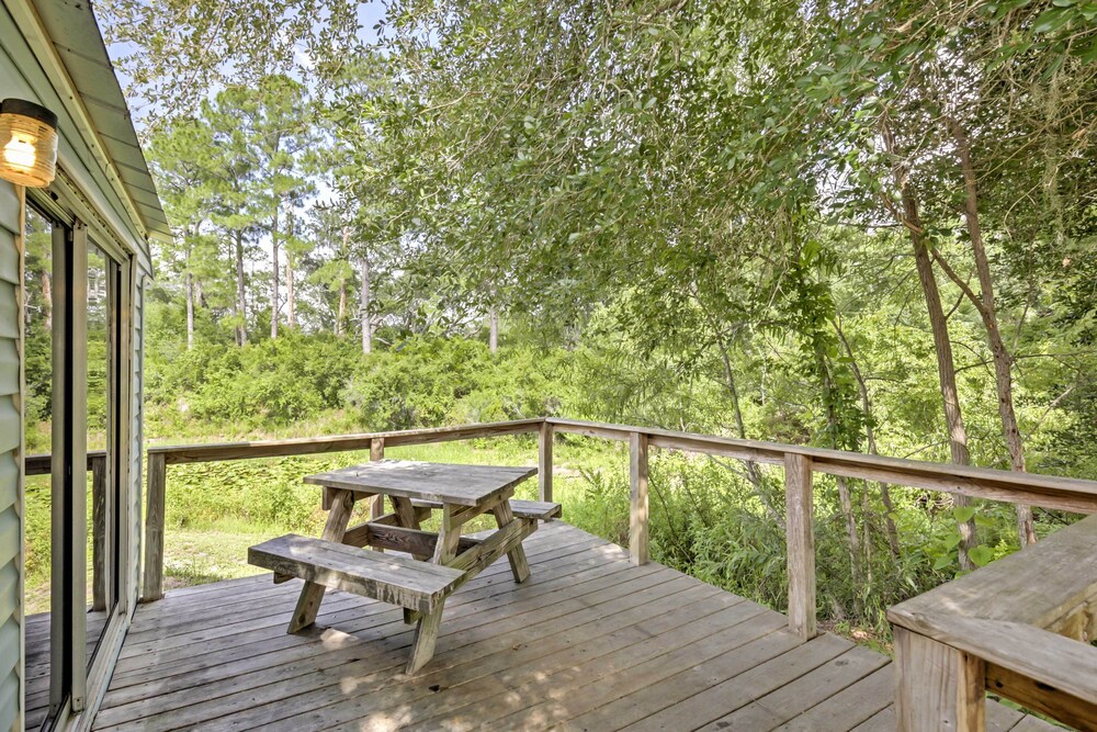 Charming Silver Springs Cabin w/ Forest Views! view 5