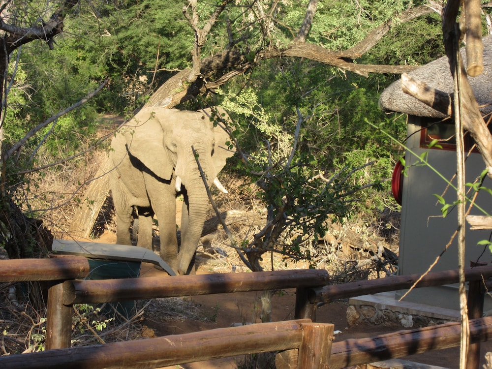 Baluleni Safari Lodge
