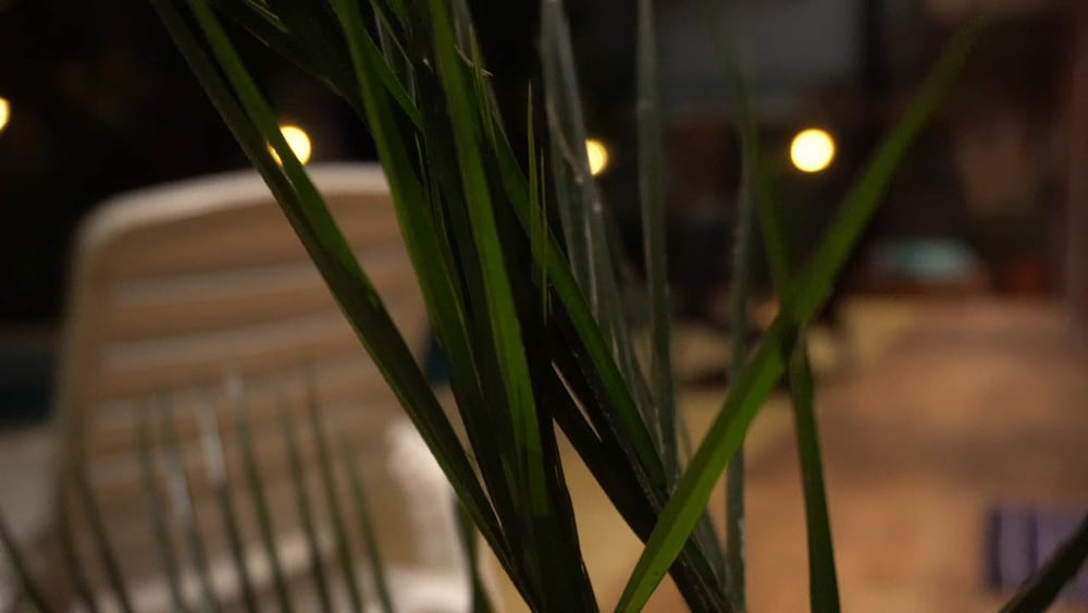 Managua Apart Hotel