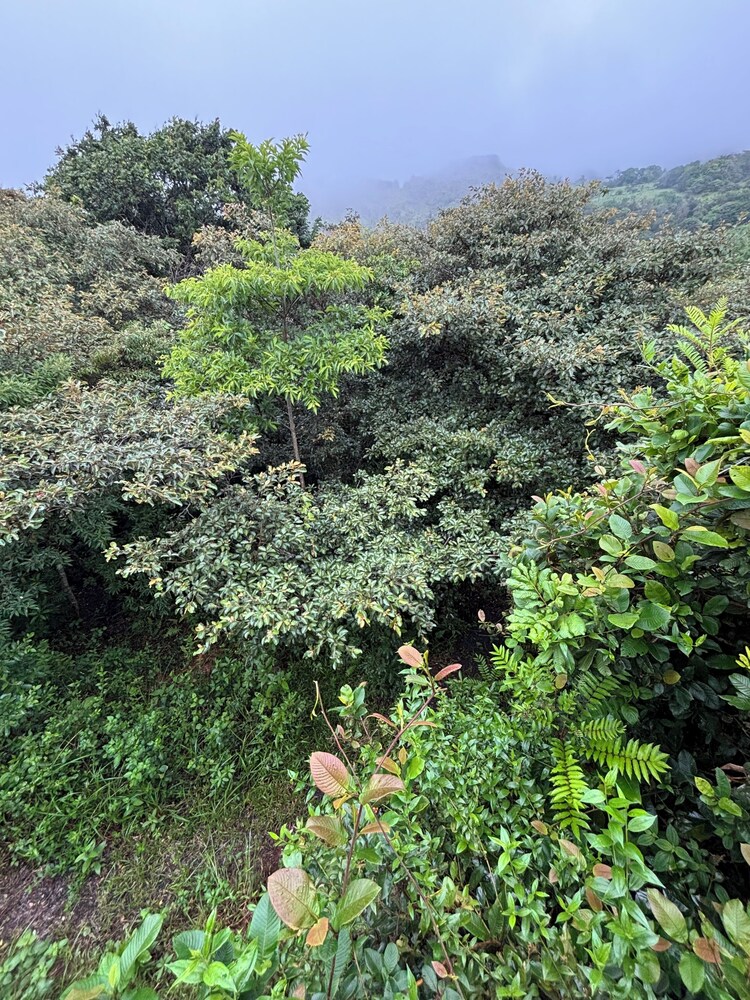 Rincón De Gaetano