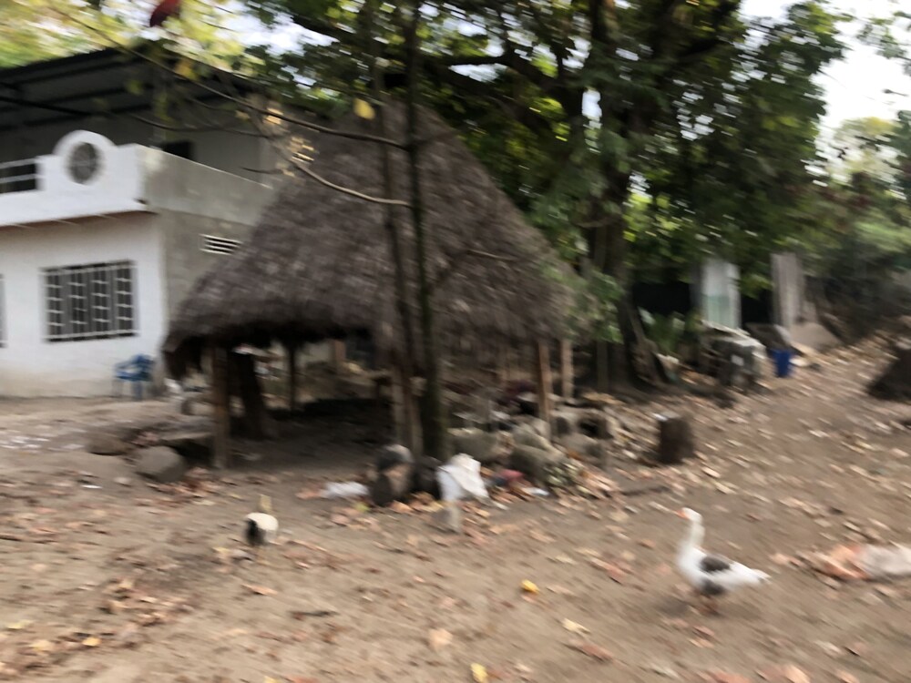 Ecohotel Ambrosia Lodge