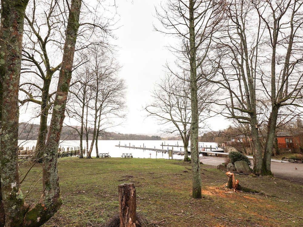 Bramblings by the Lake