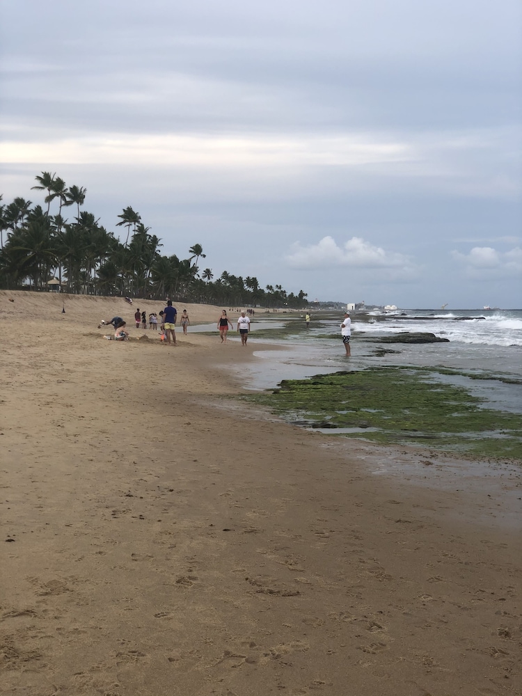 MAKIA BEACH EXPERIENCE FLAT ESTUDIO 312A