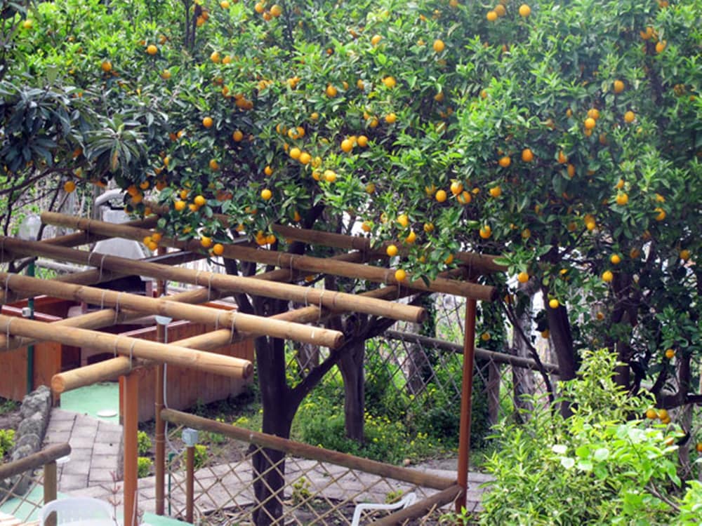 Hotel Residence Villa Marinù