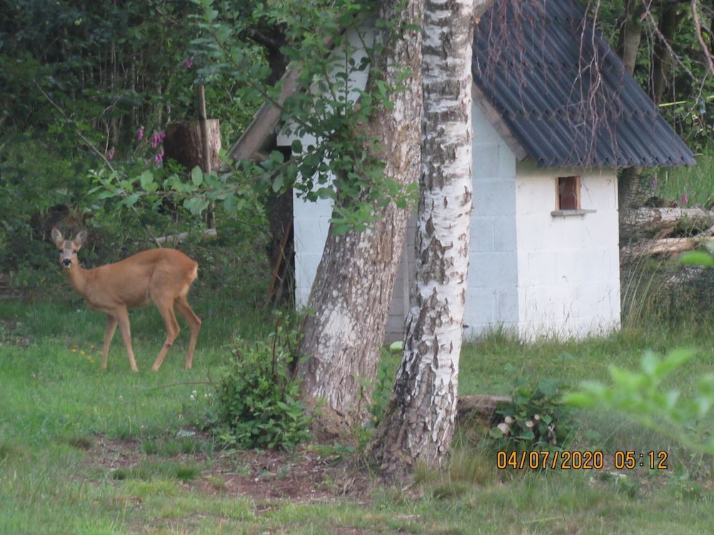 Photo 30
