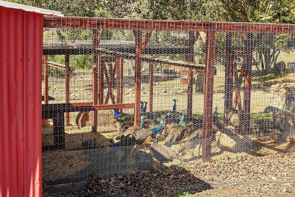 320 Acres: Farmhouse in East County San Diego