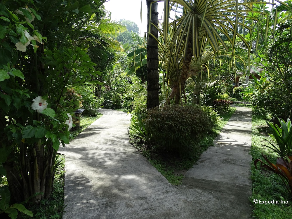 Photo 43