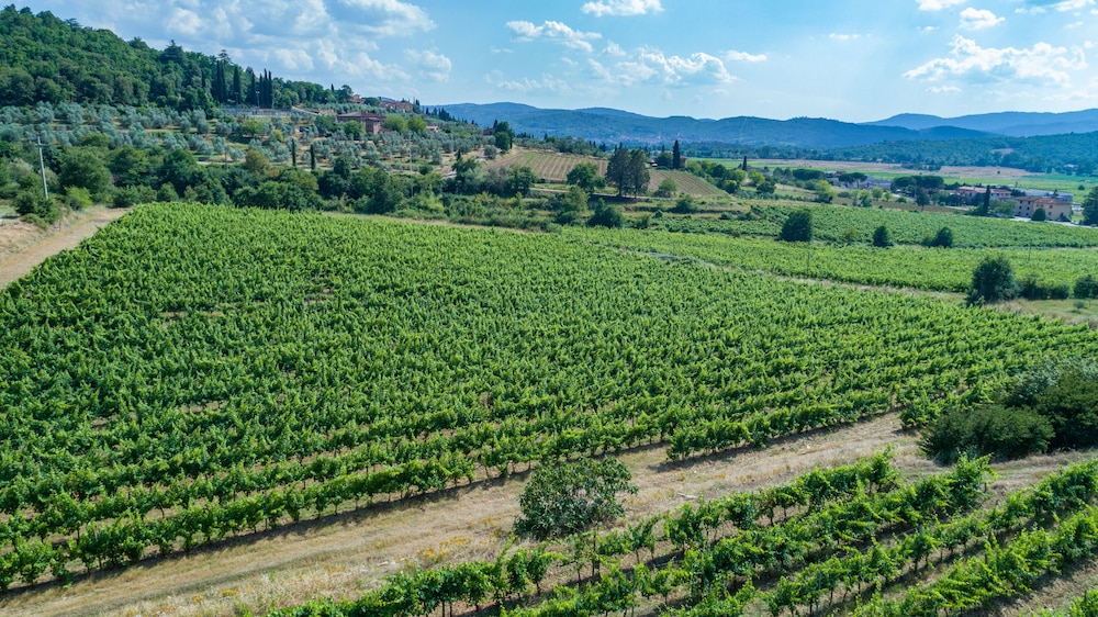 Tenuta La Pieve Casale La Valle