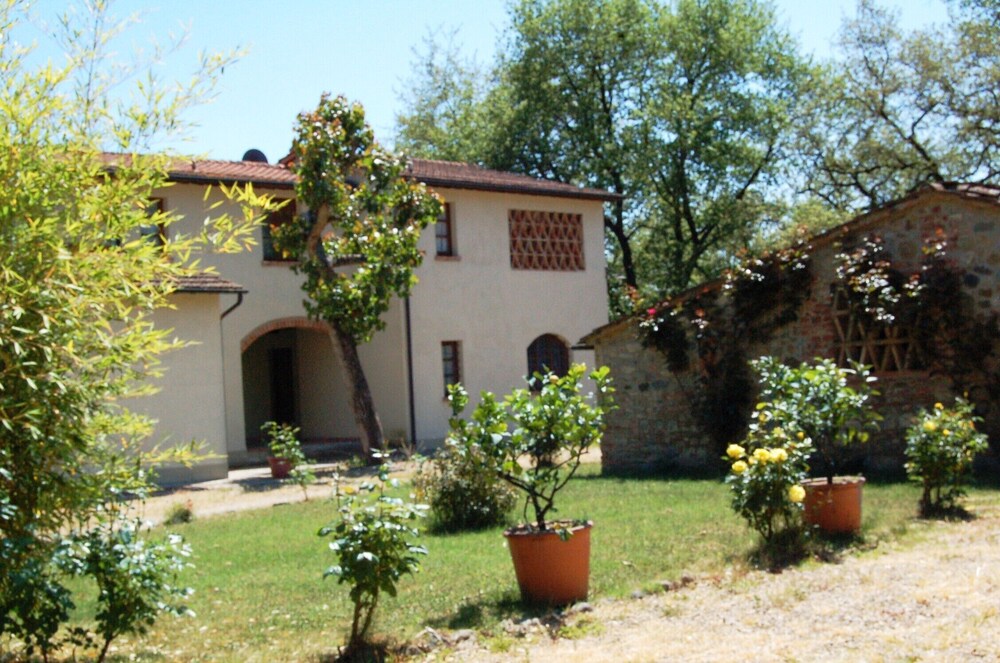 Photo 6