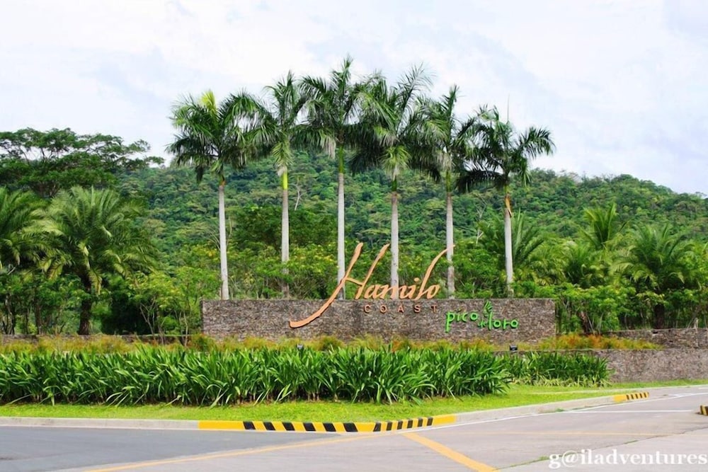 Beach Condos Pico De Loro Hamilo Coast