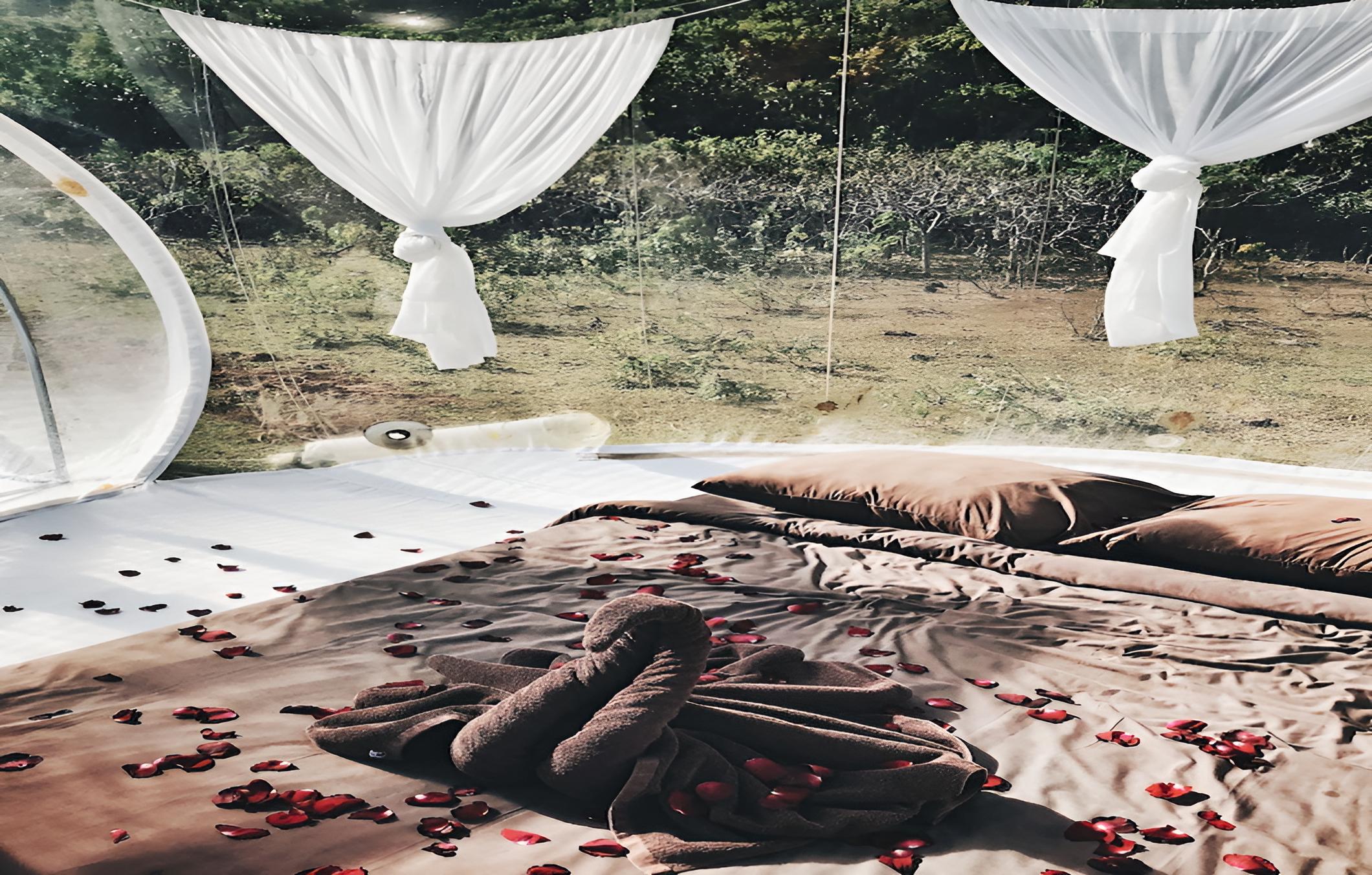 BubbleHotelBali - Glamping