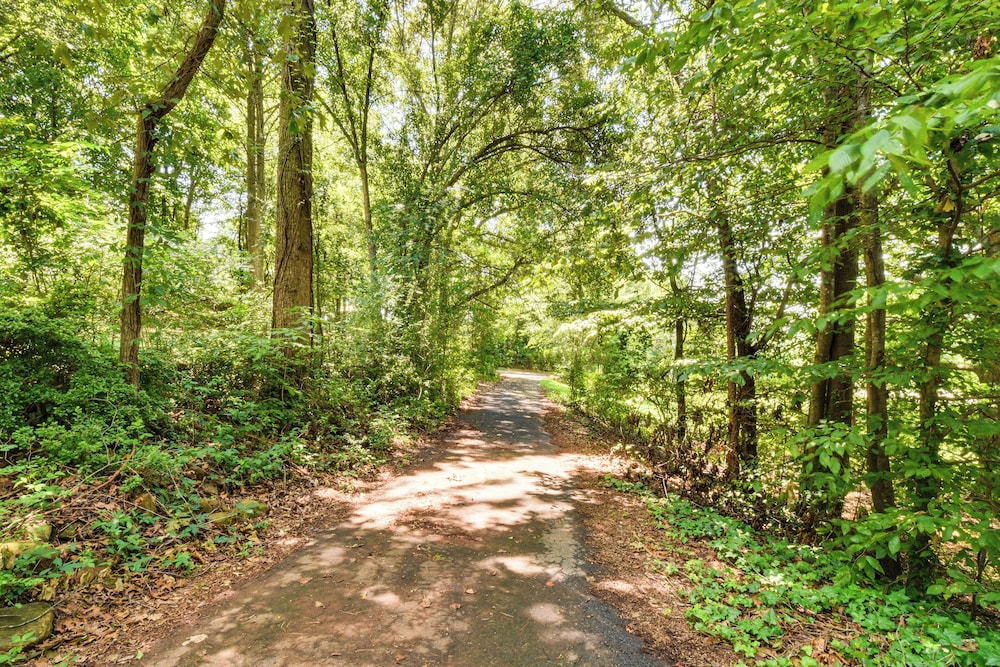 Woodsy Hideaway: 8 Mi to Henderson Falls Park!