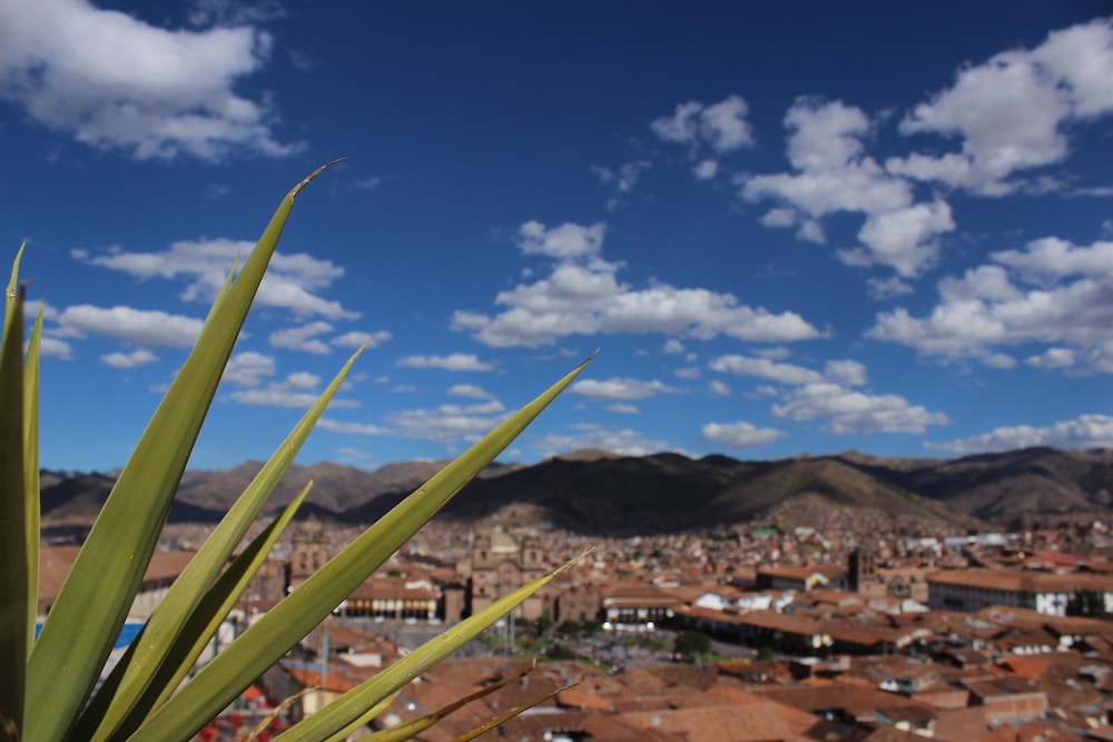 Hostal El Puma