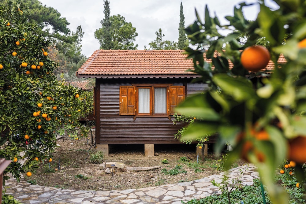 Tatil Evi Dilek Çıralı