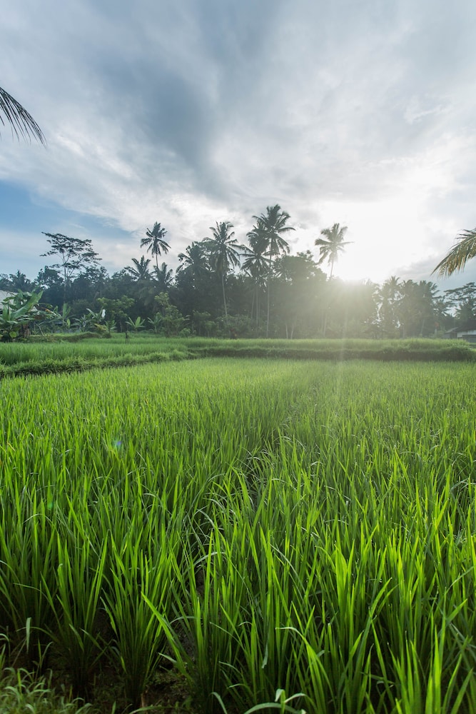 Ubud Luwih Villa