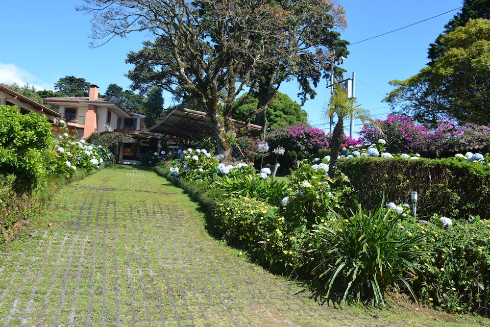 Photo 46