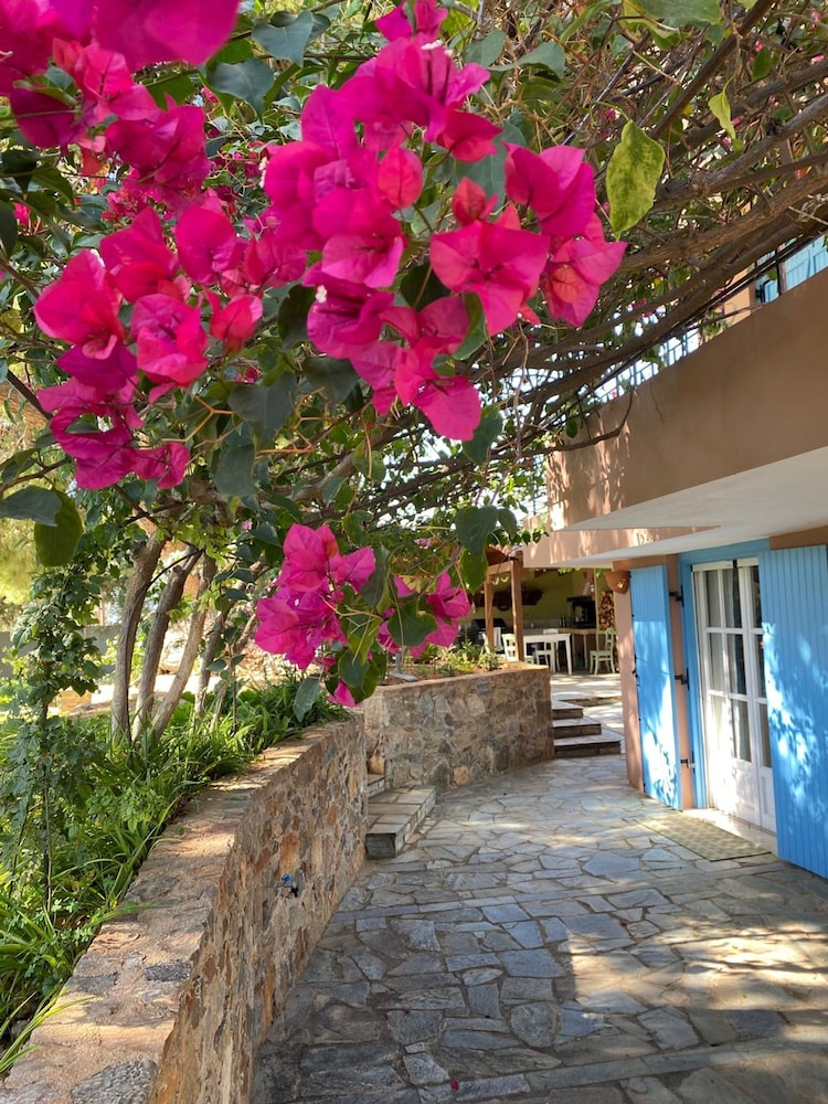 Villa-agave by the sea in Porto-rafti Outside ATH