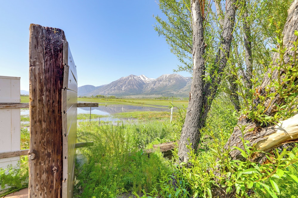 Sierra Nevada Mtn Views: Gardnerville Getaway