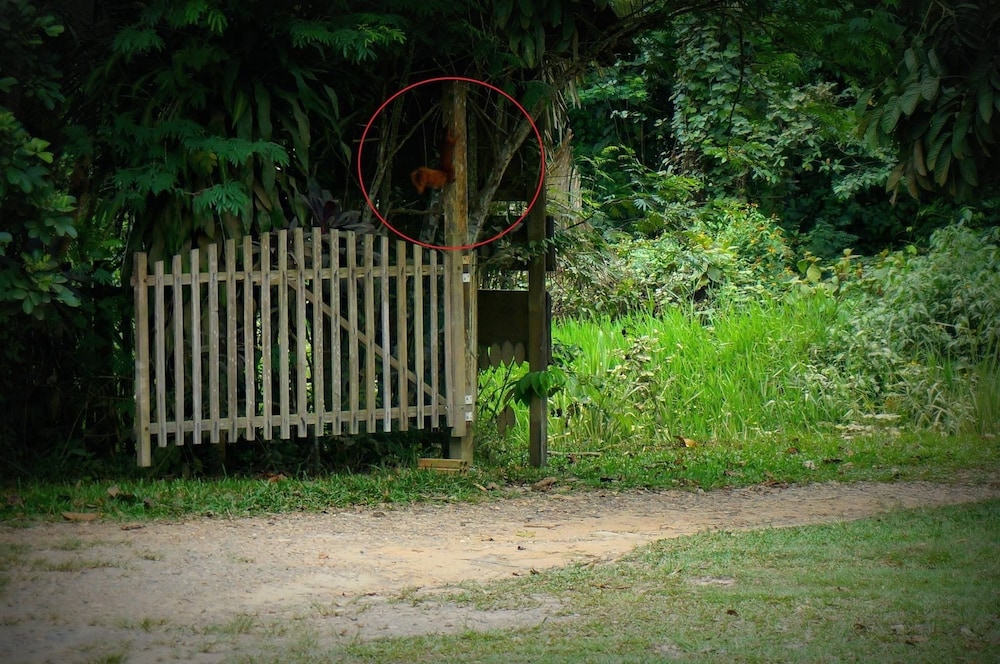 Villa Hermosa de Tambopata