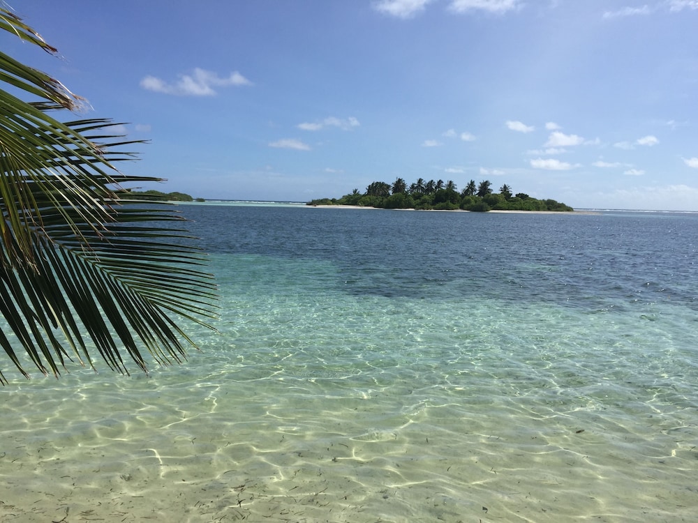 Sea Star Diving photo 3