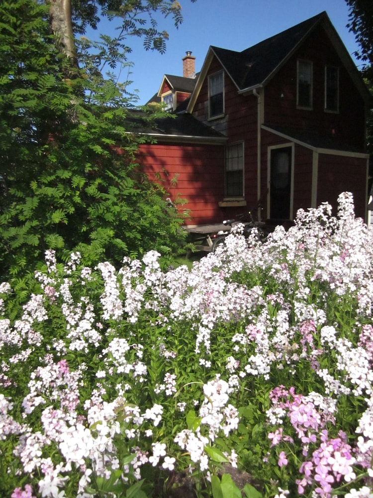 School Street House