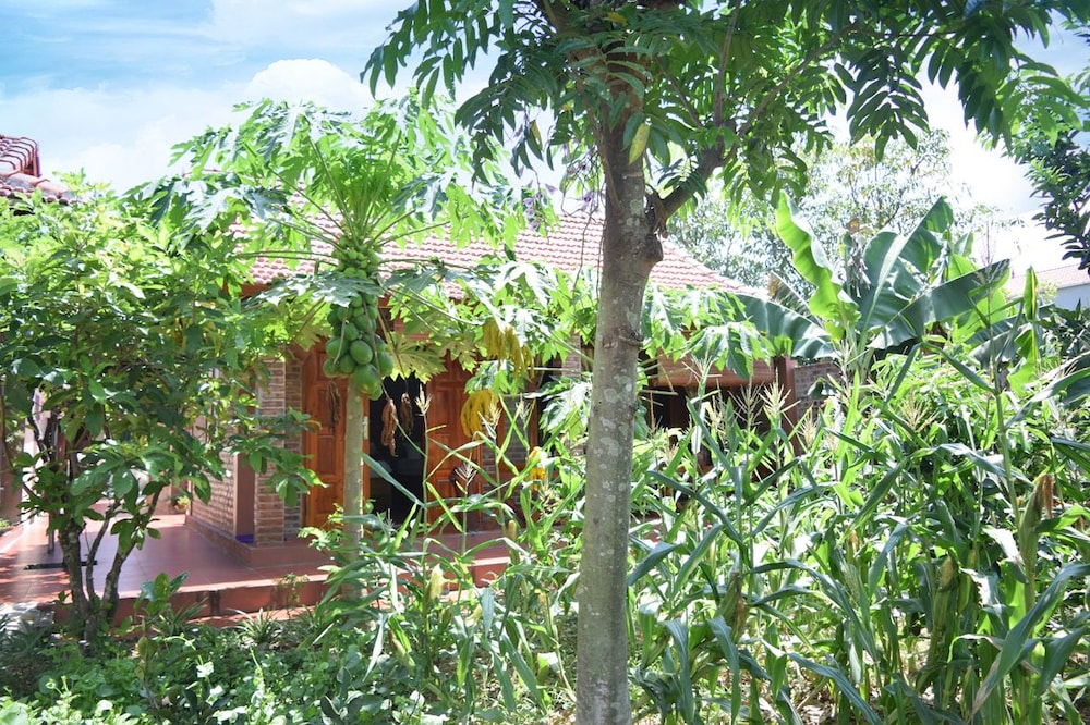 Van Long Family Homestay