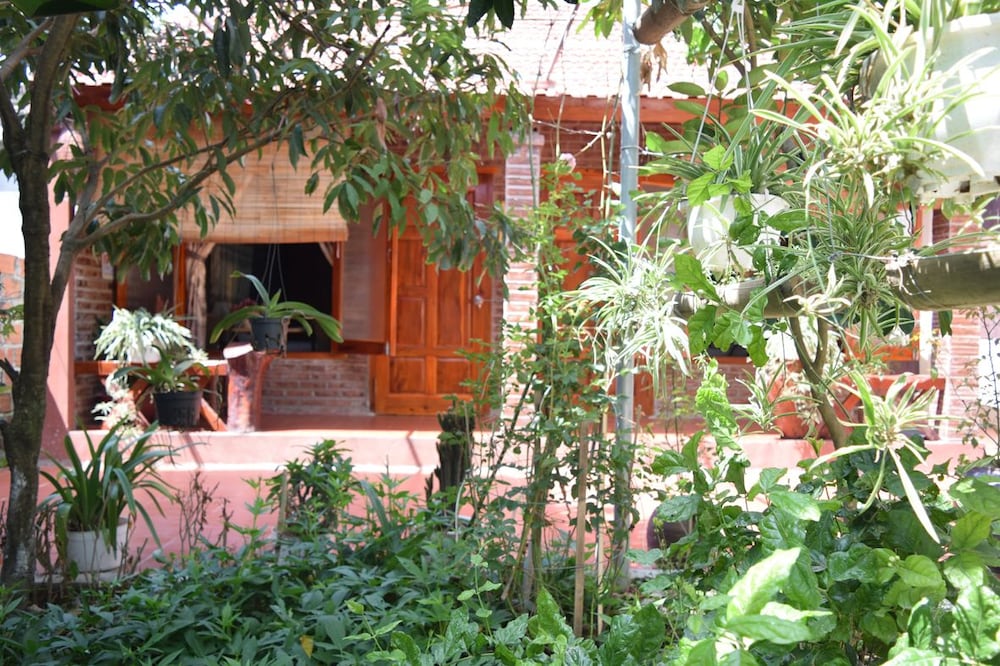 Van Long Family Homestay