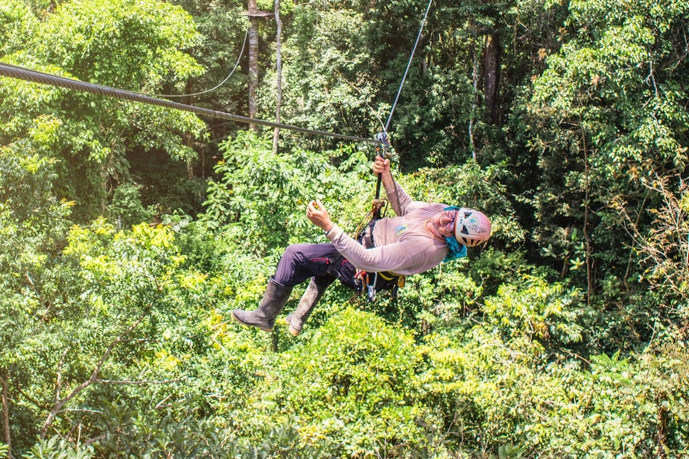 Avatar Amazon Lodge & Canopy Park