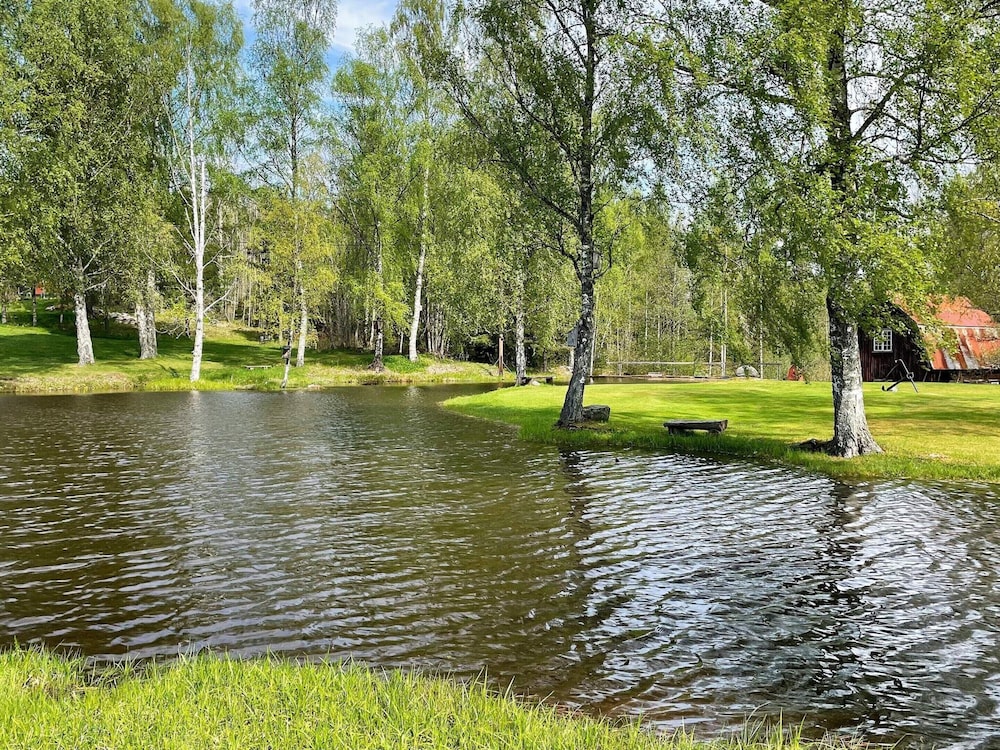 Photo 8