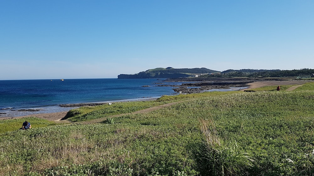 Margarita's in Jeju