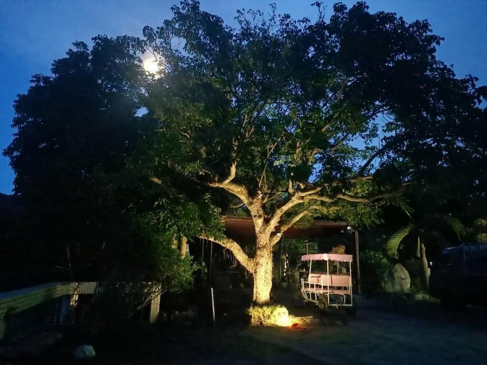 Calm place