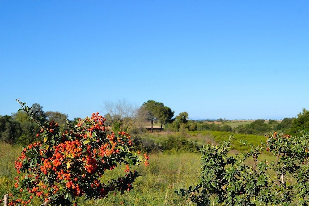 Ars Naturae Biologic Farm