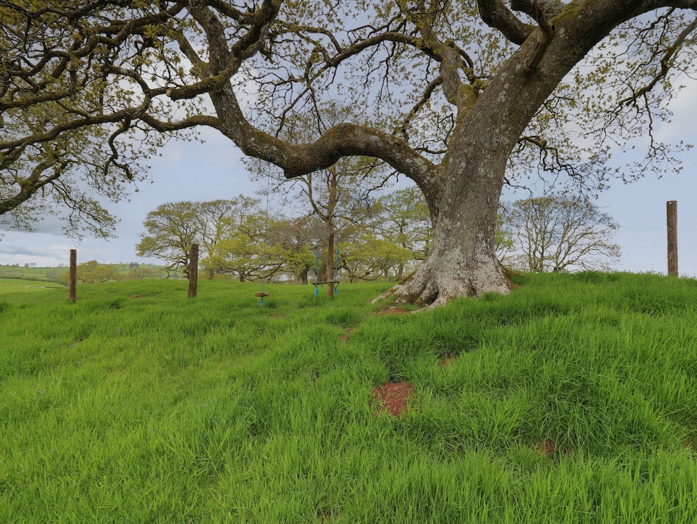 Wild Acre