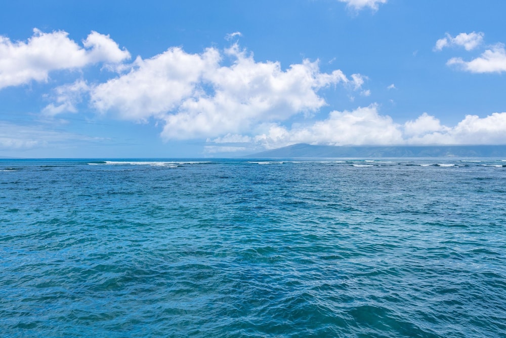 Kahana Reef 215 in Lahaina