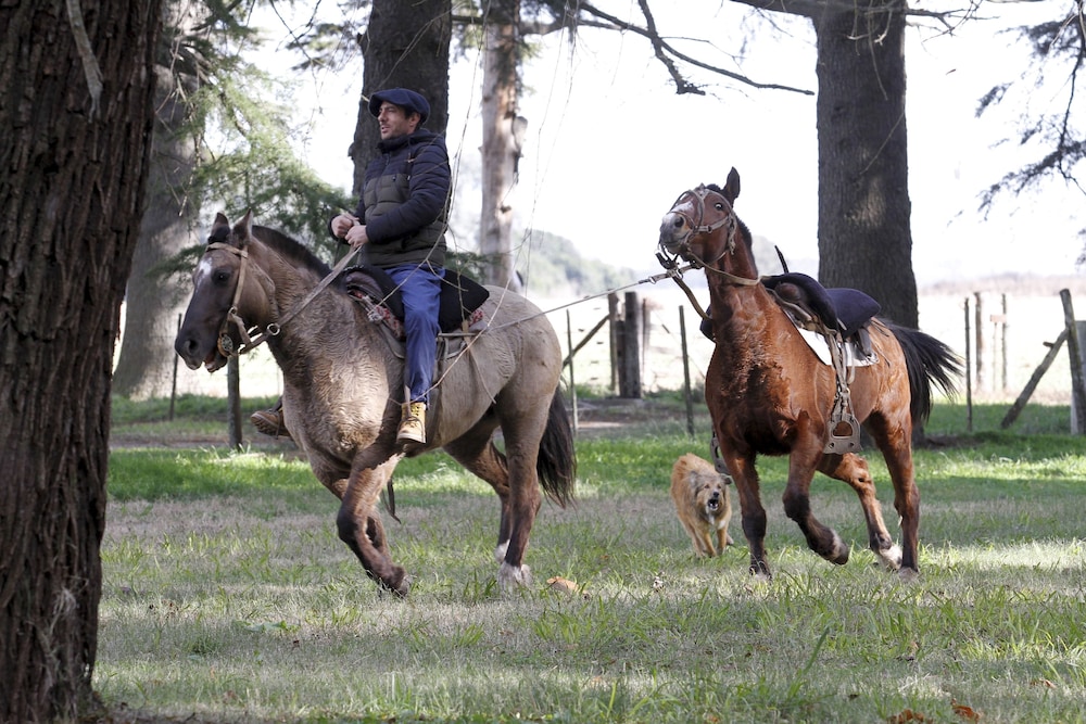 Estancia Argentina La Armonia