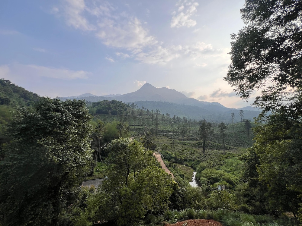 Mountain Serenity
