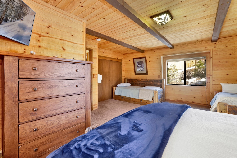Big Cub Cabin #2521