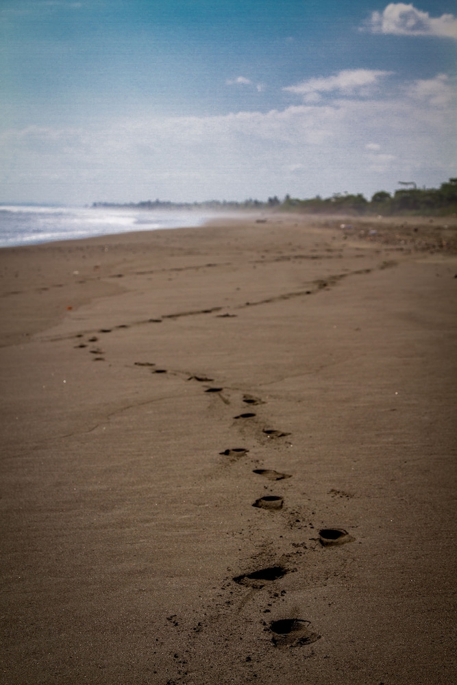 Miguel Surf  Camp