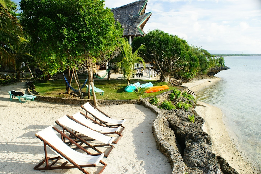 Asian Belgian Resort